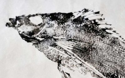 Unique Seafood Art Class