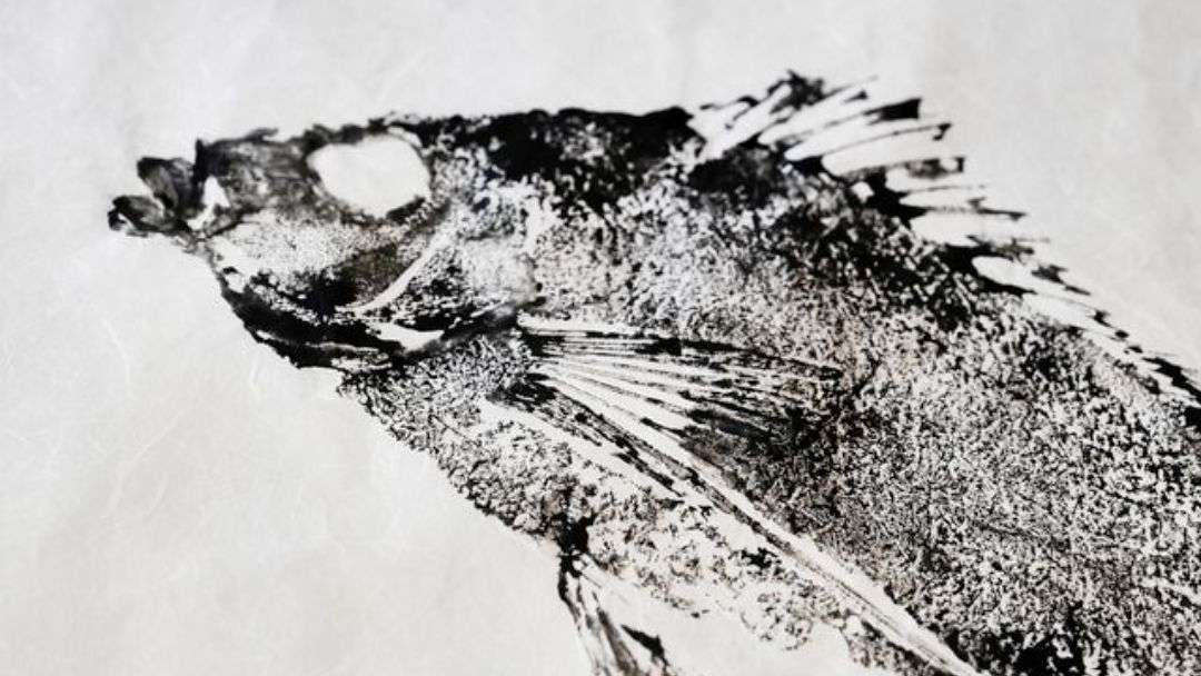 Unique Seafood Art Class