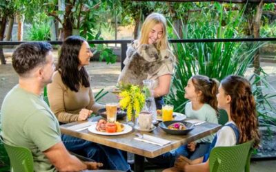 Amp Up Your Schools Holidays at Currumbin Wildlife Sanctuary