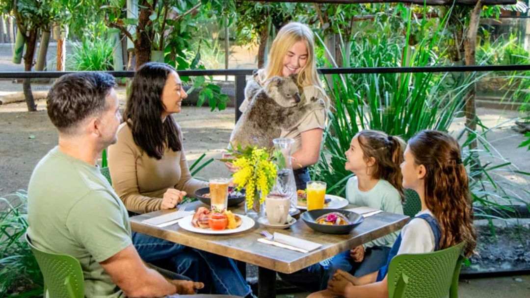 Amp Up Your Schools Holidays at Currumbin Wildlife Sanctuary