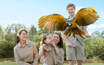 Summer Holiday Fun at Australia Zoo
