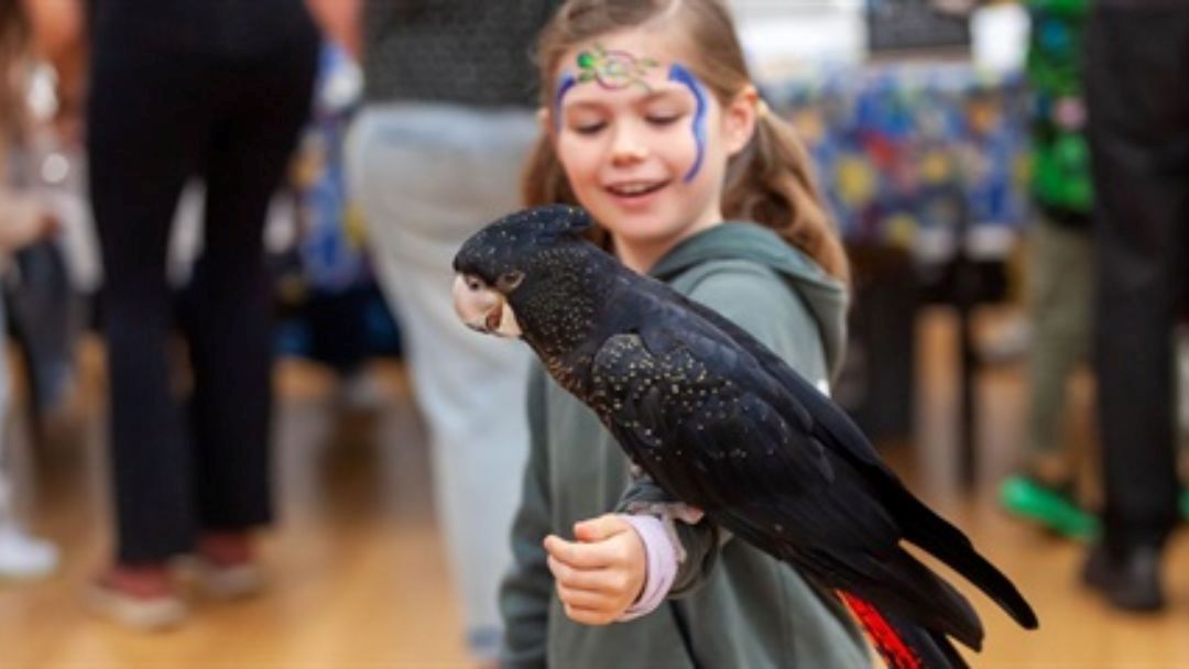 Naturallygc Wildlife Fest