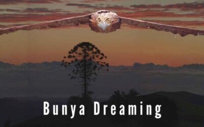 Bunya Dreaming