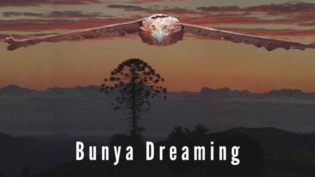 Bunya Dreaming