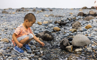 Immerse yourself in ‘Olafur Eliasson: Presence’ at GOMA