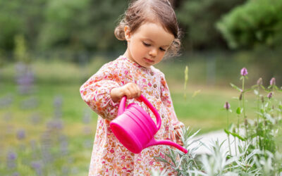 Little learning journeys begin at Out & About