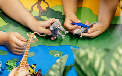 The Sunshine Coast Rainforest Kindy where nature is both classroom and teacher