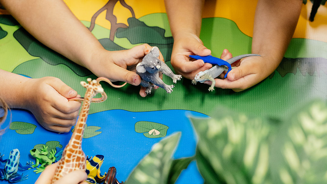 The Sunshine Coast Rainforest Kindy where nature is both classroom and teacher