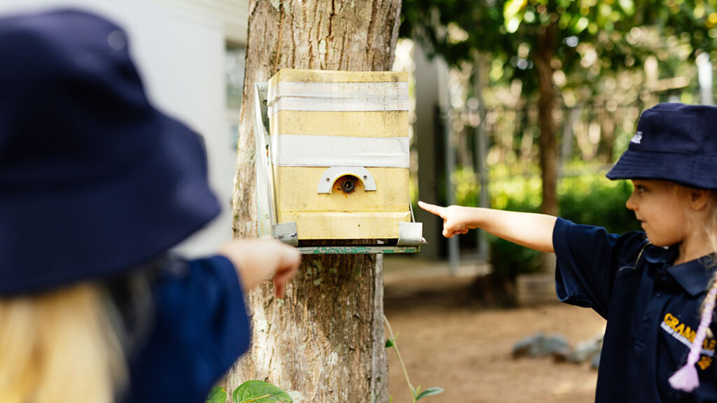 Kids at the Sunshine Coast Grammar School Rainforest Kindy Making a Bird Box