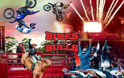 Bikes & Bulls
