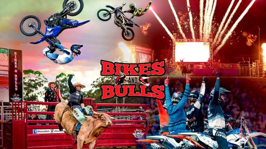 Bikes & Bulls