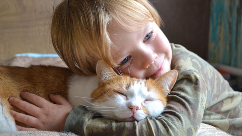 Boy Hugging Pet Cat