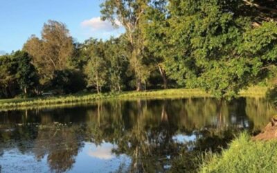 World Wetlands Day Guided Walk