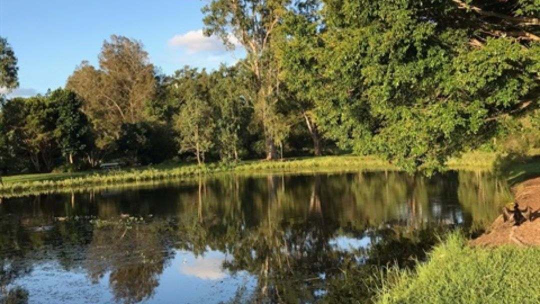 World Wetlands Day Guided Walk