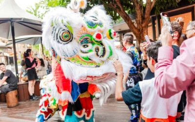 Lunar New Year at Westfield Mt Gravatt