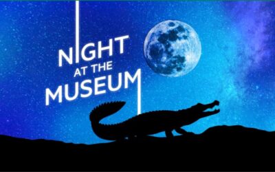 A Night at the Museum