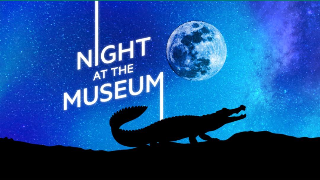 a Night at the Museum