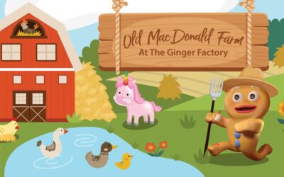 FUN FUN and MORE FUN! School Holidays at The Ginger Factory