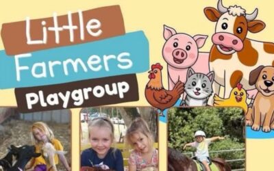Little Farmers Playgroup