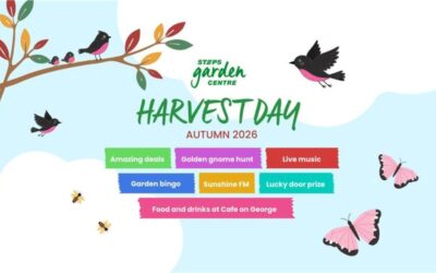 STEPS Garden Centre Harvest Day