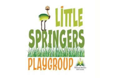 Little Springers Playgroup