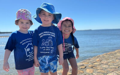 Chermside kindy kids swap screens for sand at beach kindy cricket day