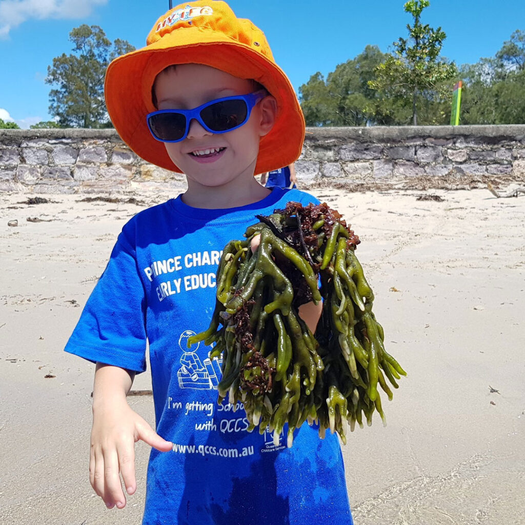Beach-kindy-chermside-3 | Kids in Brisbane, Gold Coast, Sunshine Coast | Kotc Child from Chermside Kindy Playing with Seaweed at the Beach Kindy
