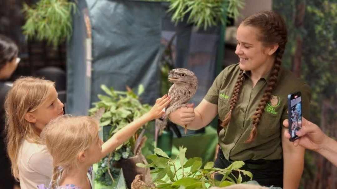 0303_naturallygc_schoolholidays_hero | Kids in Brisbane, Gold Coast, Sunshine Coast | Kotc Naturallygc Easter School Holiday Program