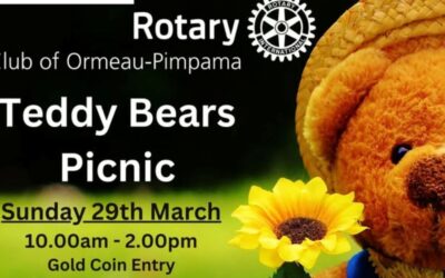 Teddy Bears Picnic