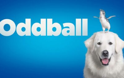Outdoor Cinema in the Suburbs: Oddball