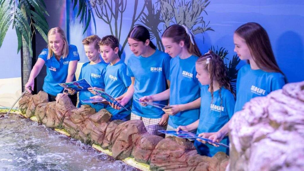 Easter Adventures at Sea Life Sunshine Coast