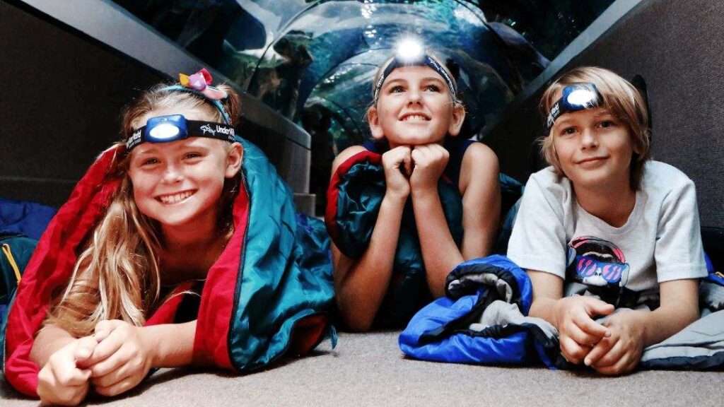Easter Adventures at Sea Life Sunshine Coast