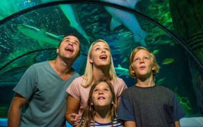 Mum’s Go Free at SEA Life Sunshine Coast