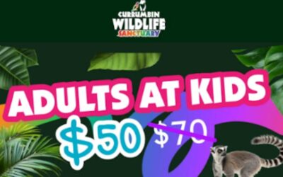 Wild March at Currumbin Wildlife Sanctuary