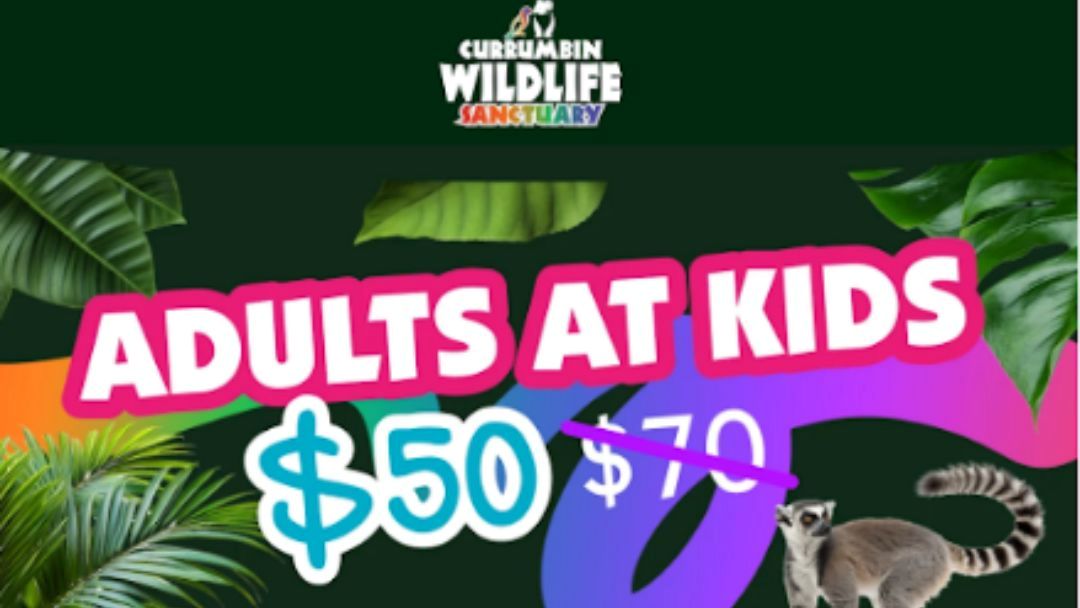 Wild March at Currumbin Wildlife Sanctuary