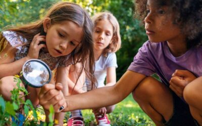 Hidden Gems Nature Workshop