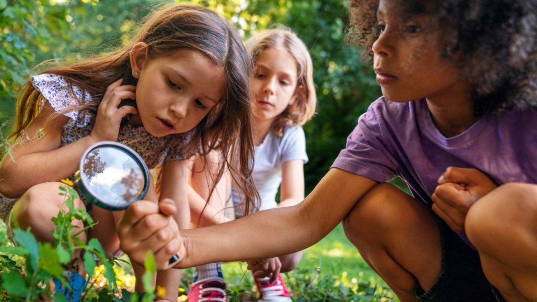 Hidden Gems Nature Workshop