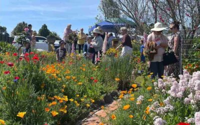 Across the Region: Springtime on the Mountain