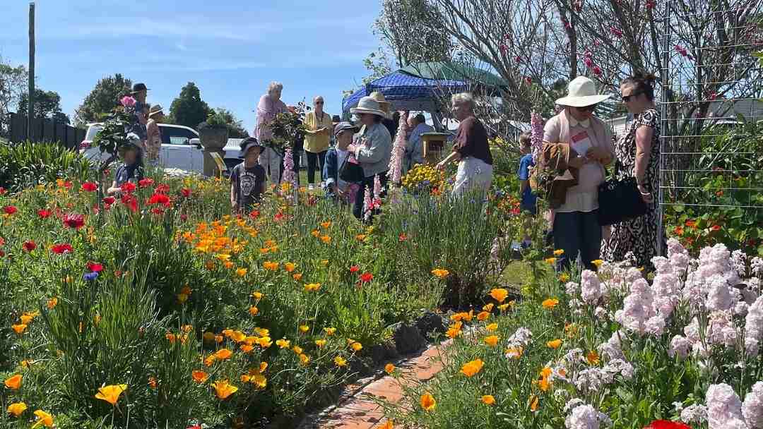 Across the Region: Springtime on the Mountain