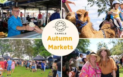 Autumn Markets at Summer Land Camels