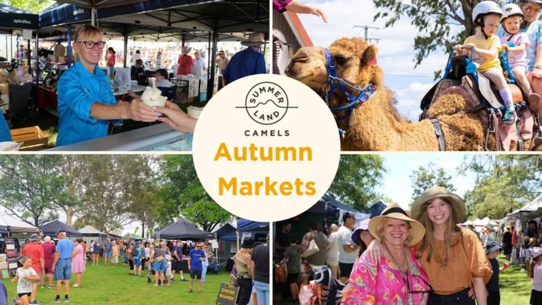 Autumn Markets at Summer Land Camels