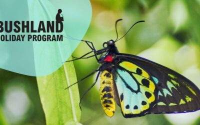 Bushland Holiday Program