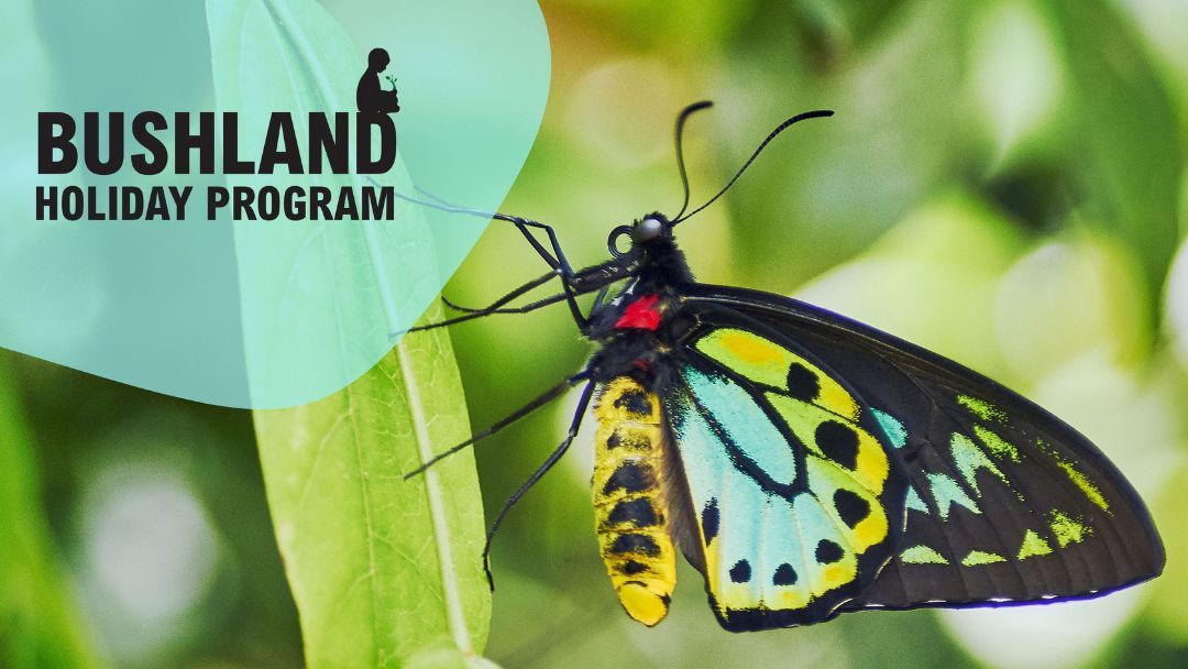 Bushland Holiday Program