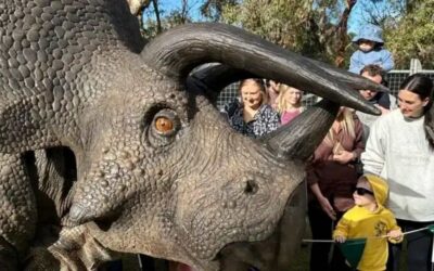 DinoFest Brisbane