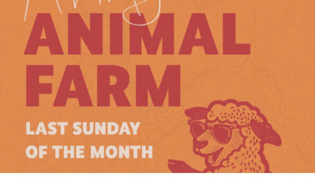 0327_clevleandsands_animalfarm_hero | Kids in Brisbane, Gold Coast, Sunshine Coast | Kotc Monthly Animal Farm