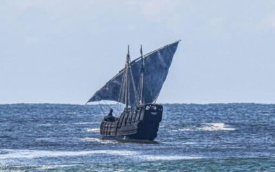 Explore Notorious in Moreton Bay