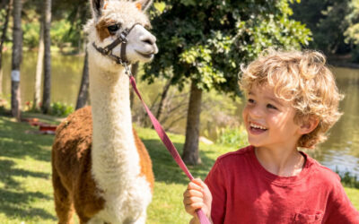 Walk on the woolly side at Historic Rivermill