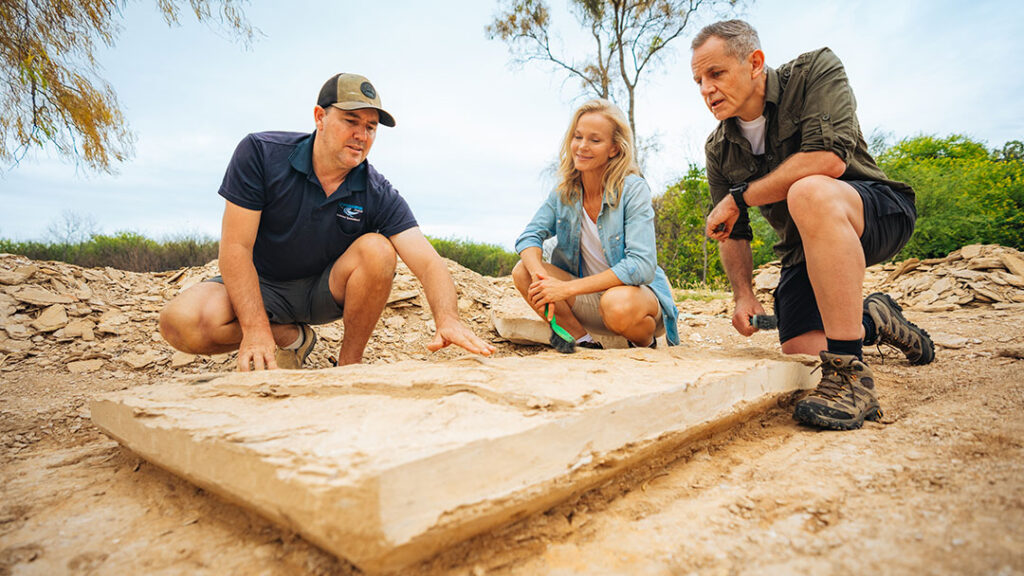 Learn About Fossils at Queensland Dinosaur Week