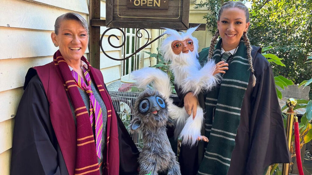 Harry Potter Store Moreton Bay Easter Holidays | Kids in Brisbane, Gold Coast, Sunshine Coast | Kotc Become a Wizard for a Day at the Store of Requirement in Samford, Moreton Bay