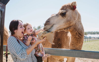 Across the Region: Scenic Rim Farming Expo